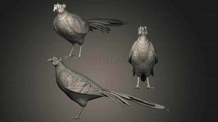 Статуэтки птицы pheasant